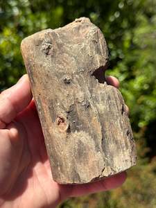 Petrified Wood, whole piece