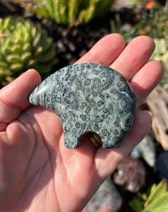 Kambaba Jasper Zuni Bear
