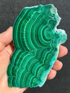 Malacholla Malachite with Chrysocolla Slice