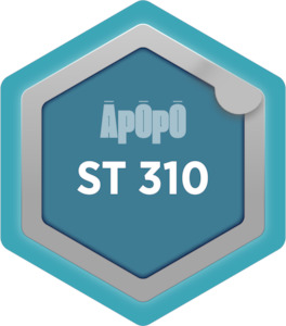 ST 310 - ISO 55000 Asset Management Standards - Āpōpō