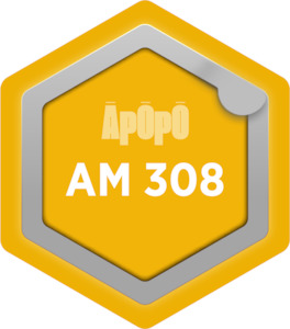 Products: AM 308 - Improving Asset Management Maturity Āpōpō