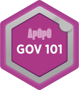 GOV 101 - Infrastructure Leadership and Governance - Āpōpō
