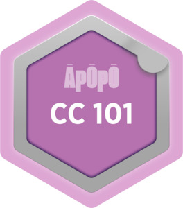 CC 101 - Introduction to Climate Adaptation in Asset Management - Āpōpō