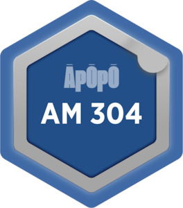 Products: AM 304 - Strategic Asset Management Planning - Āpōpō
