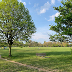 Parks and Outdoor Spaces - Āpōpō