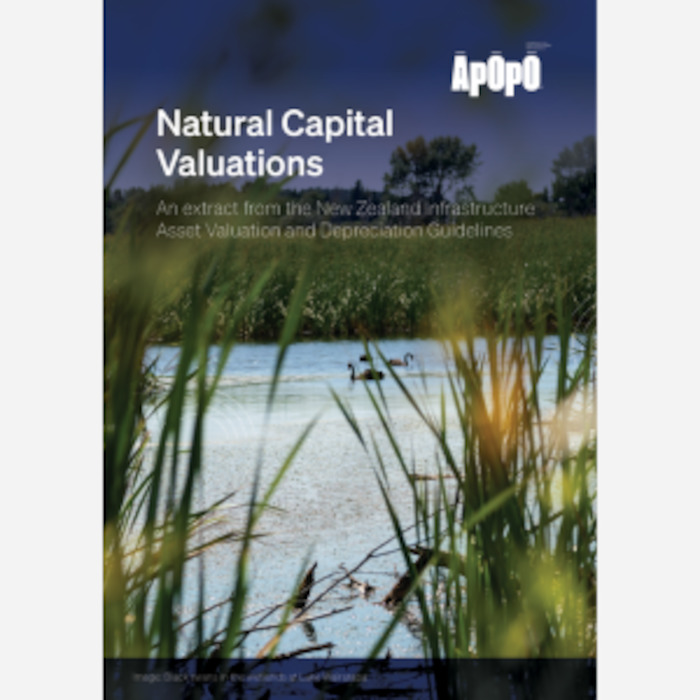 Products: Natural Capital Valuations - Extract