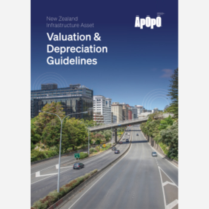 Products: Infrastructure Asset Valuation and Depreciation Guidelines - 2025 edition