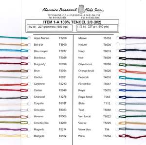 Maurice Brassard Weaving Yarns: MB Colour Card - Tencel