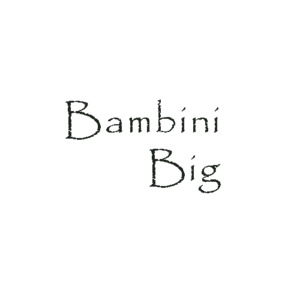Bambini: Bambini Big - 100 Merino - Chunky 100gram