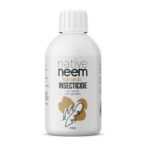 Spring Rejuvenation: Organic Neem Oil Insecticide 250ml
