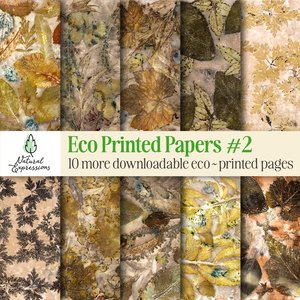 10 more eco dyed botanical prints - Natural Expressions