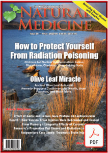 The New Zealand Journal of Natural Medicine: Issue 58 Ebook - Natural Medicine