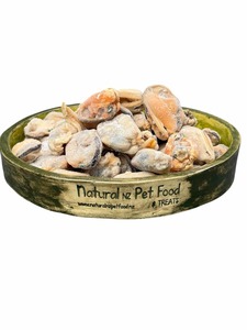 Mussel Meat – Frozen