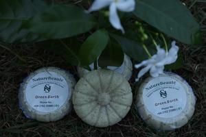 Products: Green Earth facial cleanser