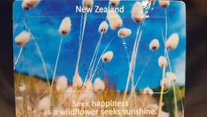General Souvenirs: NZ Grass Wildflower Fridge Magnets