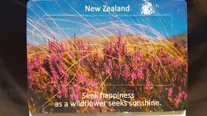 General Souvenirs: NZ Cerise Wildflower Fridge Magnets