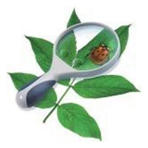 Optics Magnifiers: Magnifer, 100mm Acrylic