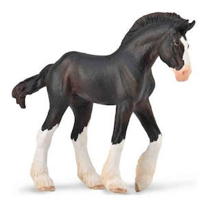 Science Biology Animals: Clydesdale Foal - Black M
