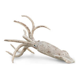 Science Biology Prehistoric: Belemnite.