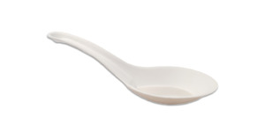 Cutlery: Sugarcane Cutlery - Spoon