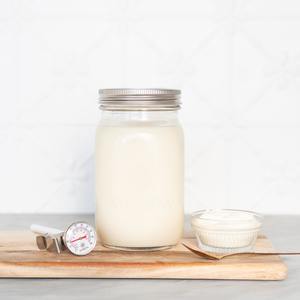 Coconut yoghurt kit: Culture makes 50L of yoghurt
