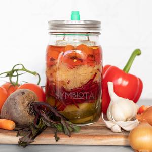 Milk Yoghurt Cheese: Fermented Kit for vegetables