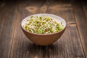 Sprouting: Vital Plus Organic seeds 100gm