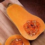 Vege Seeds: Squash (Waltham) Butternut seeds $3.50