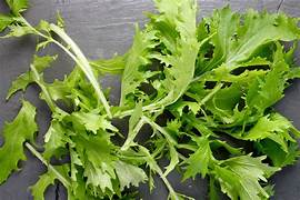 Vege Seeds: Mizuna seeds $3.50