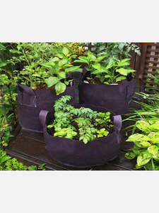 Microgreens 1: Planter Eco Grow bag Sml, Med, Lrg