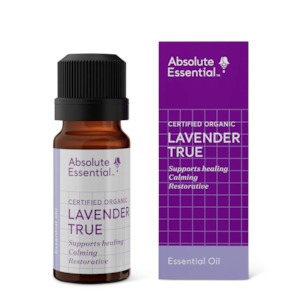 Absolute Essential Lavender True 10ml