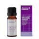 Absolute Essential Orange Sweet 10ml