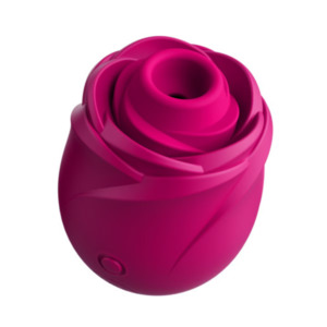 Her: Womanizer Rose