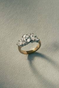 Mixed Metal Cluster Ring