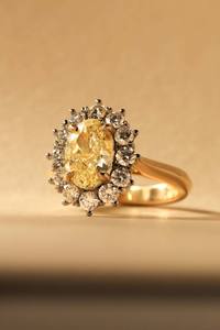 Bespoke Collection: Oval Yellow Diamond Halo