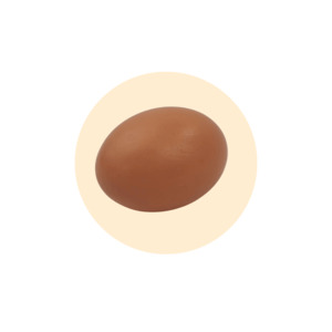 Painted Chicken Egg