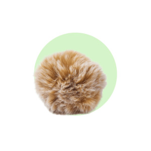 Pom Pom