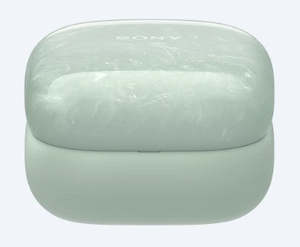 Headphone Charging Case (Green) - A5071573A