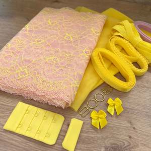 Ray of Sunshine - Lace Bra ~ 'Nellie x You' Kit Collab (base price)
