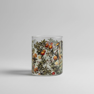 Glassware: NEW Sorrento Old Fashioned Single Glass