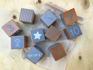 Discoveroo Wooden Shape & Number Blocks