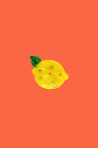 Accessories: Mini Lemon Clip