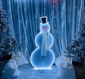 Products: Snowman - Stunning LED Neon Snowman Sign. Available Now