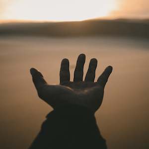 Scientific Hand Analysis: Hand Analysis Purpose Foundation