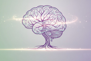 Appointment Options: Holistic Health Session and More - 2 hours