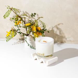 Wood Wick Candles: Kowhai Blossom + Lime Candle