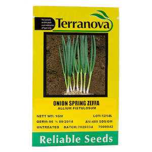 Vege Seeds: Onion - Spring Zeffa
