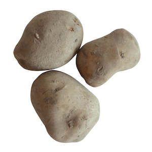 Seed Potatoes: Cliff Kidney
