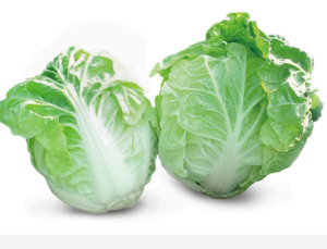 Vegetable Seeds: Terra Nova Chinese Cabbage Plenty F1