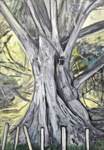 Products: Pakiri macrocarpa in green – painting